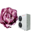 Flower Farming Rose Planting Greenhouse Air Source Heat Pump Space Heating System